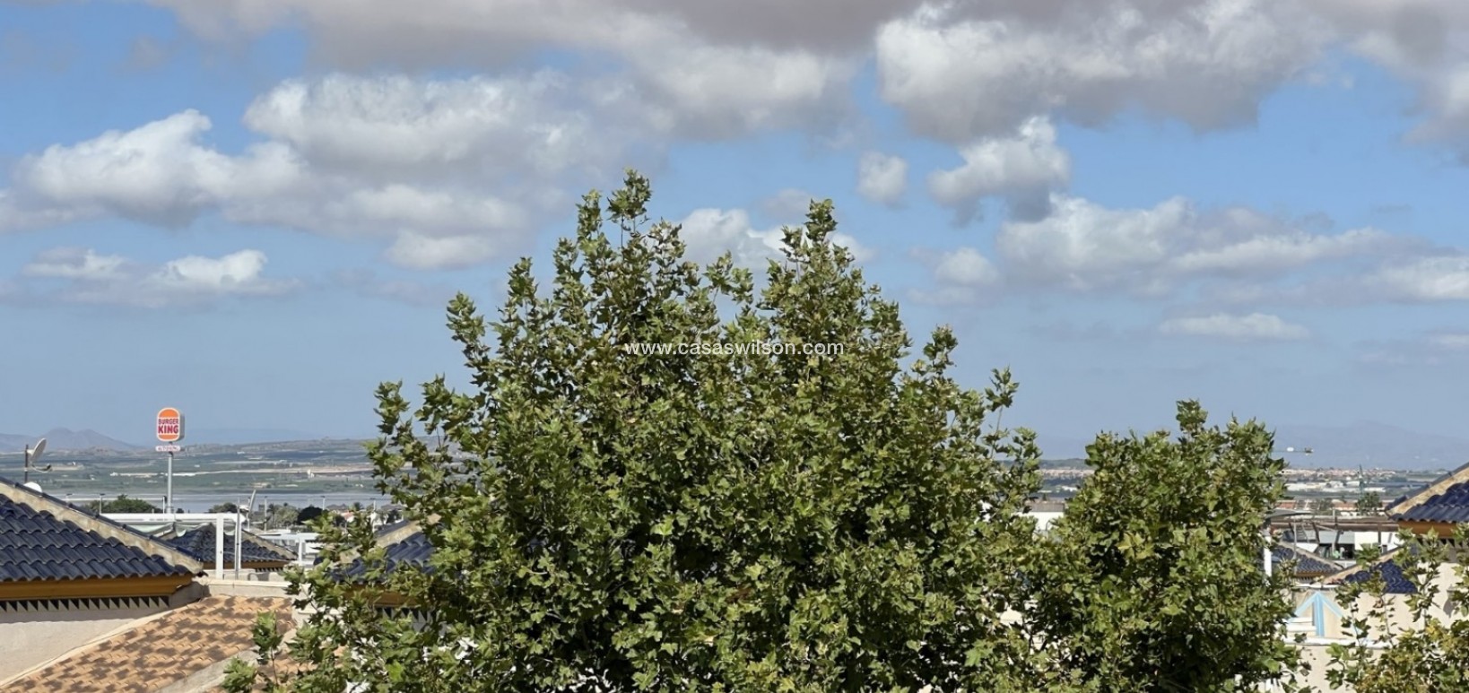 Sale - commercial - Torrevieja - Costa Blanca Sur