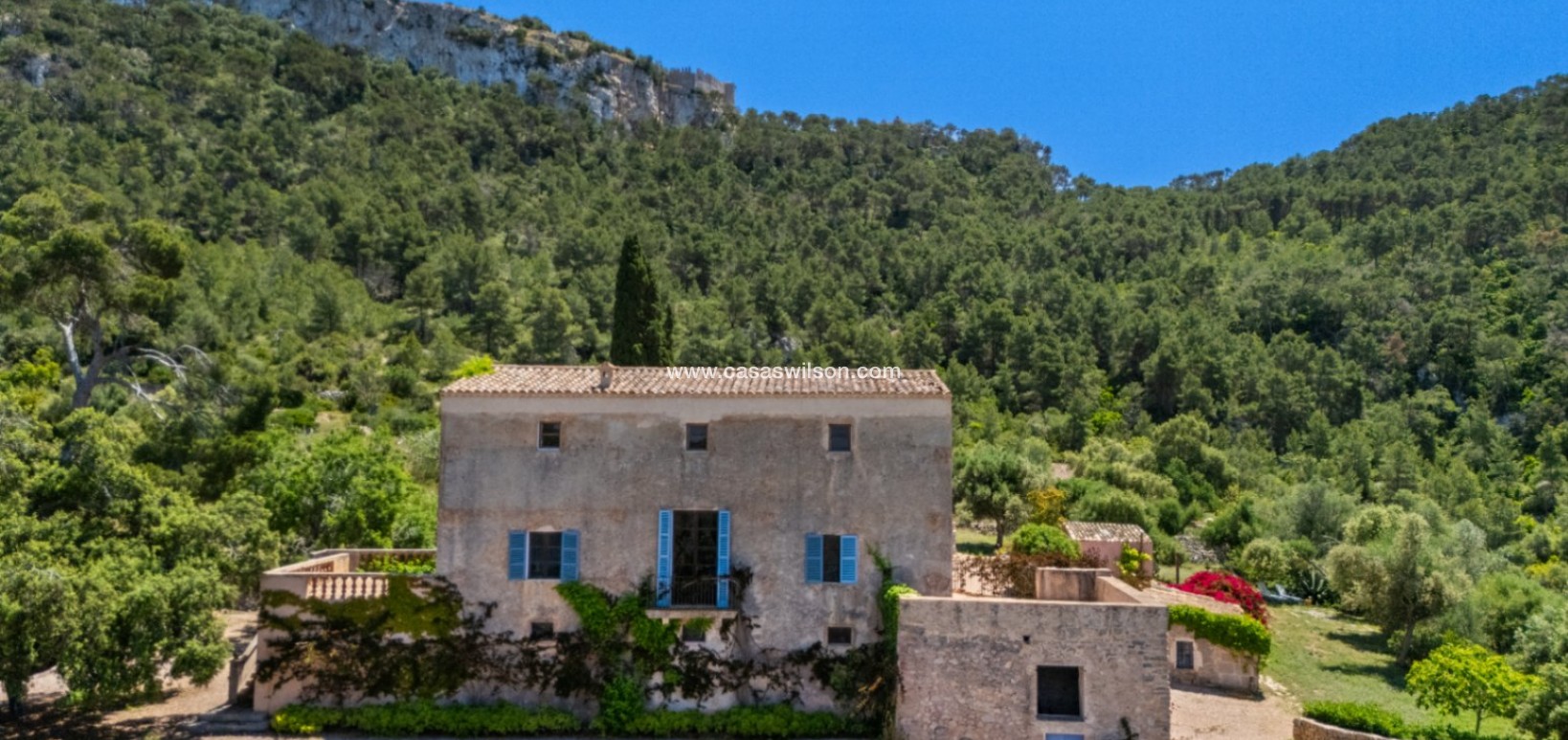 Sale - Finca / Country House - Felanitx - Mallorca