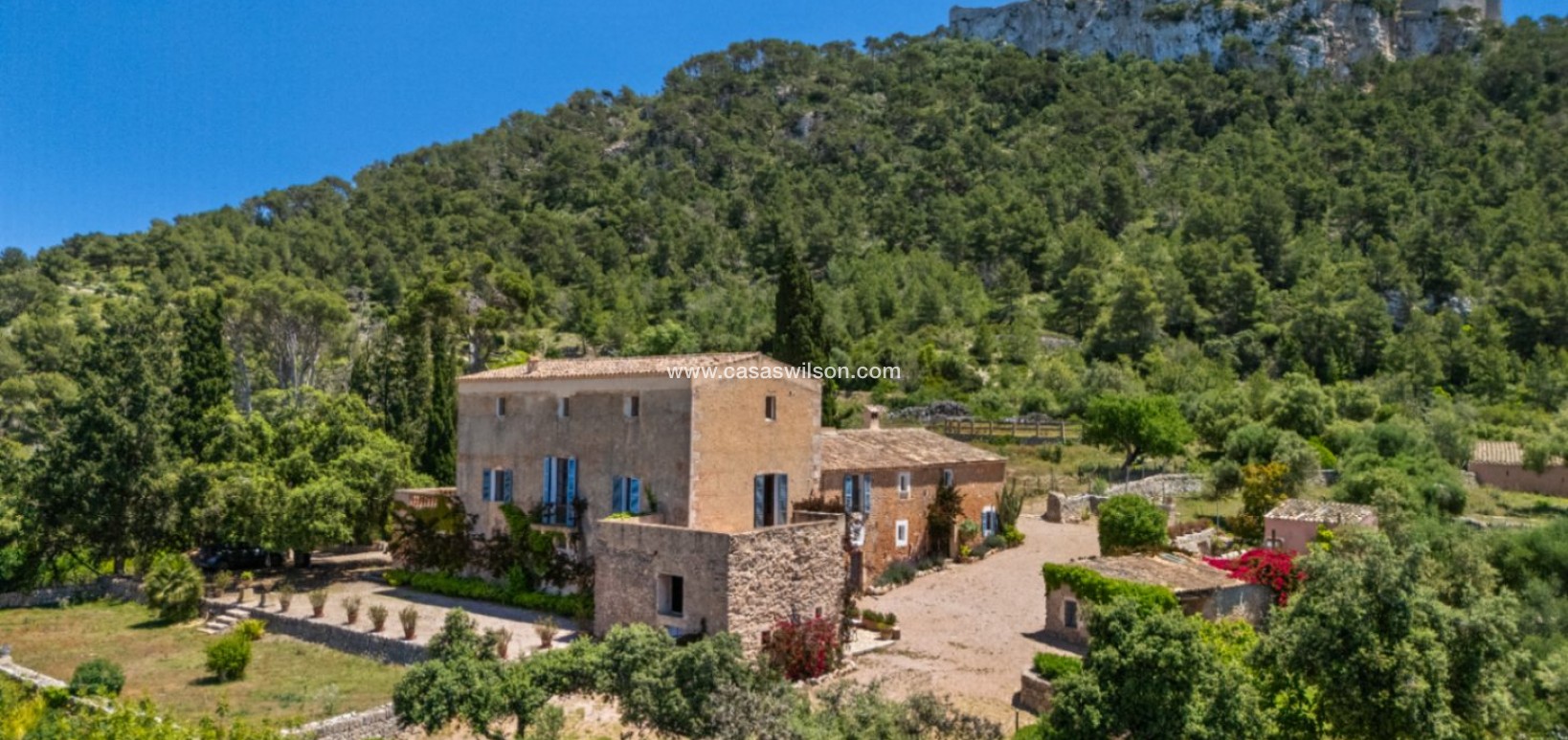 Sale - Finca / Country House - Felanitx - Mallorca