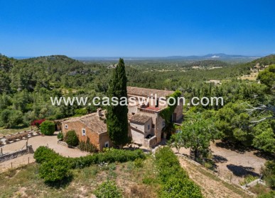Sale - Finca / Country House - Felanitx - Mallorca