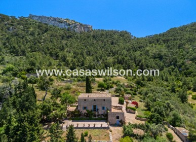 Sale - Finca / Country House - Felanitx - Mallorca