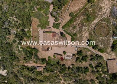 Sale - Finca / Country House - Felanitx - Mallorca