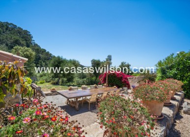 Sale - Finca / Country House - Felanitx - Mallorca