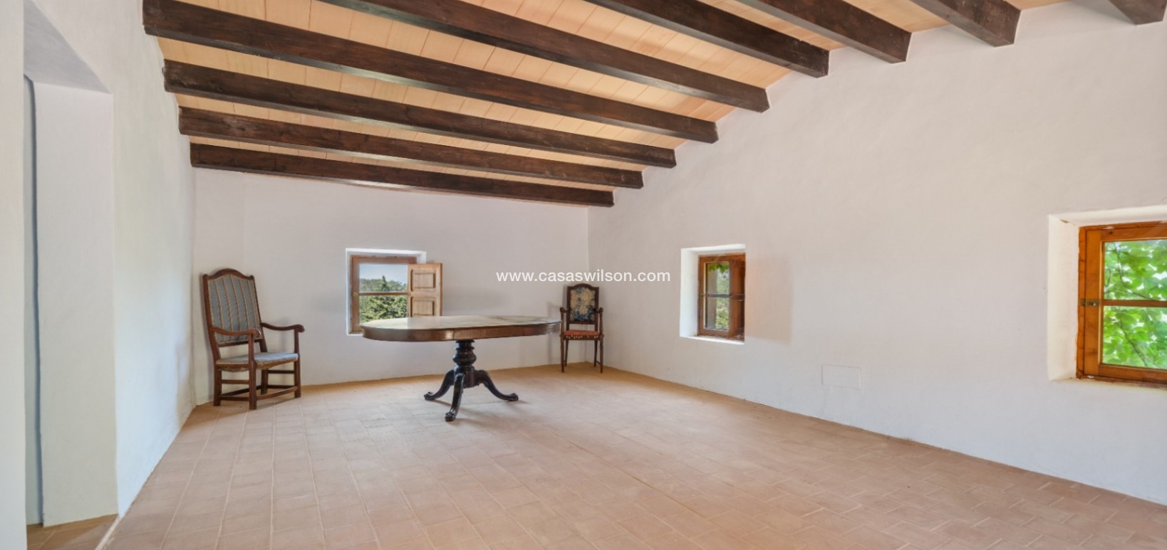Sale - Finca / Country House - Felanitx - Mallorca