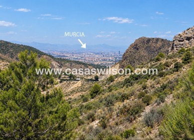 Sale - Villa -  - Costa Blanca Sur