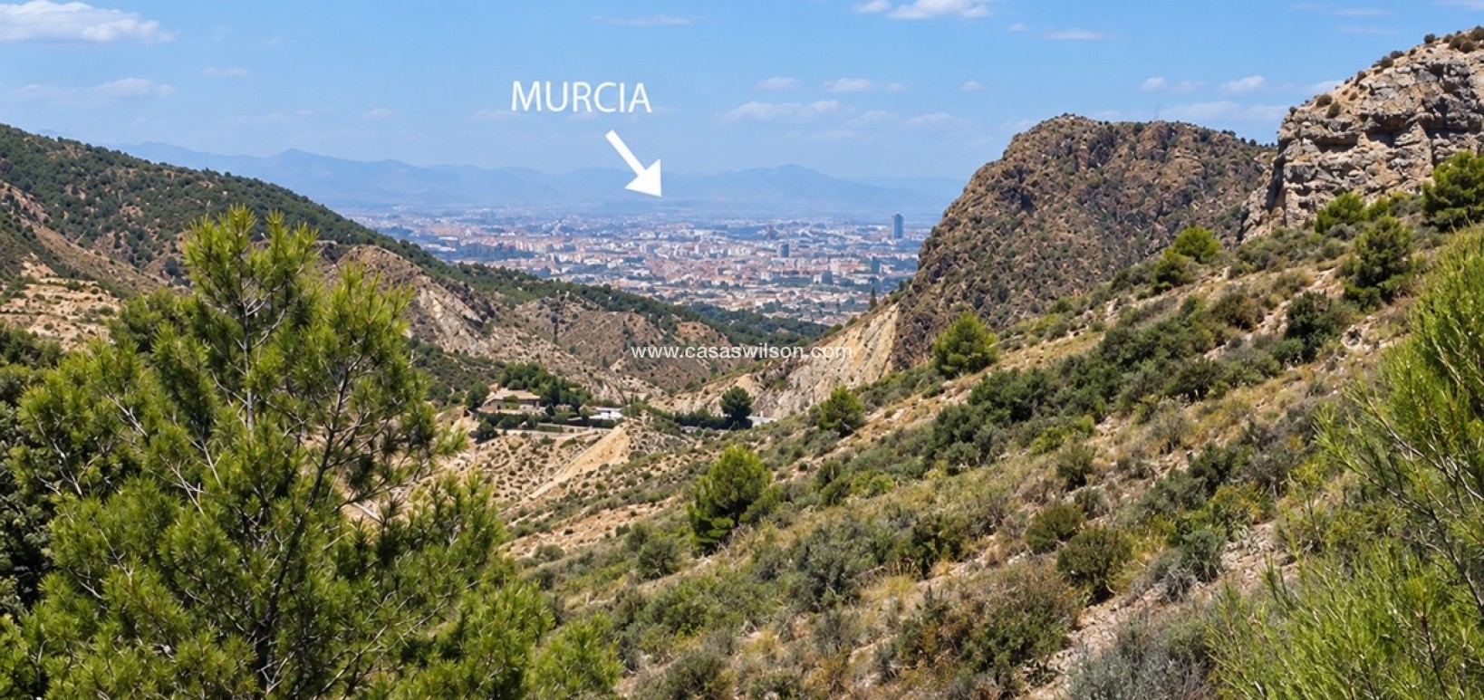 Sale - Villa -  - Costa Blanca Sur
