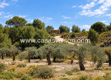 Sale - Villa -  - Costa Blanca Sur