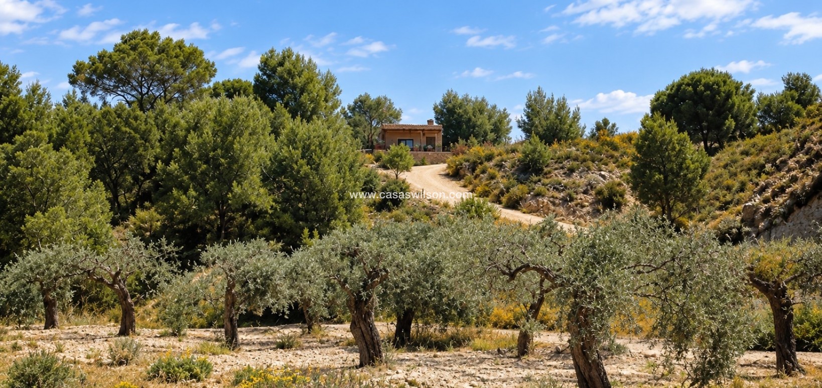 Sale - Villa -  - Costa Blanca Sur