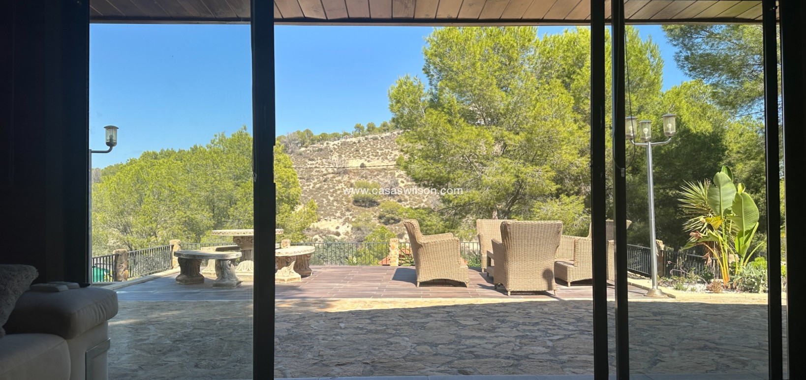 Sale - Finca / Country House - San Miguel de Salinas - Costa Blanca Sur