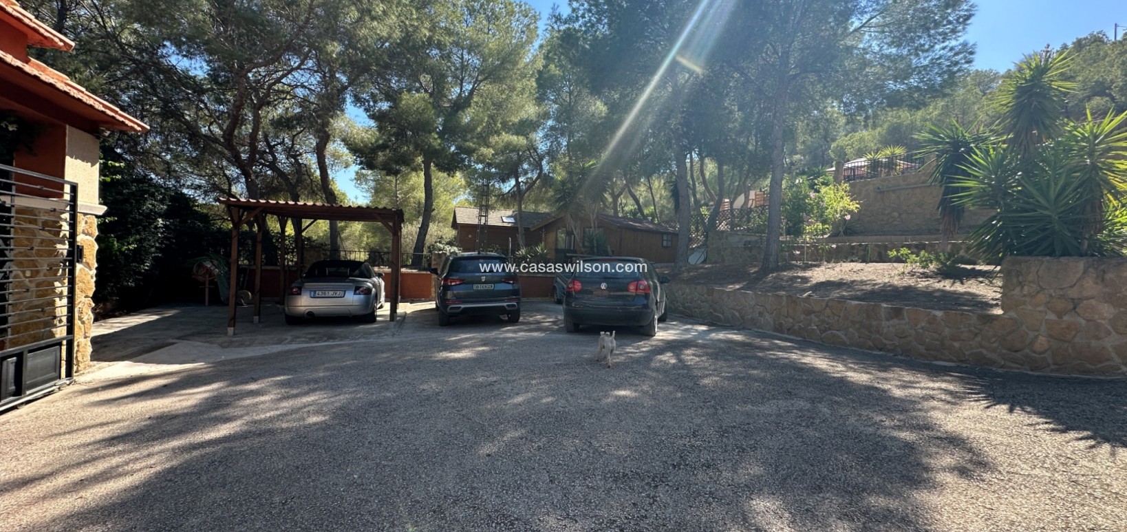 Sale - Finca / Country House - San Miguel de Salinas - Costa Blanca Sur