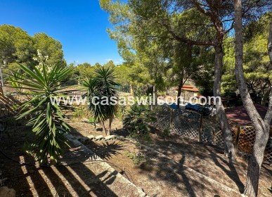 Sale - Finca / Country House - San Miguel de Salinas - Costa Blanca Sur