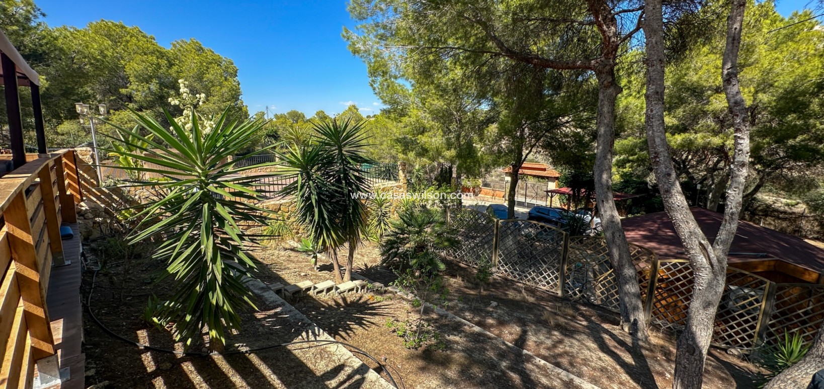 Sale - Finca / Country House - San Miguel de Salinas - Costa Blanca Sur