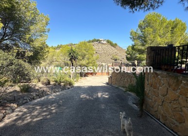 Sale - Finca / Country House - San Miguel de Salinas - Costa Blanca Sur