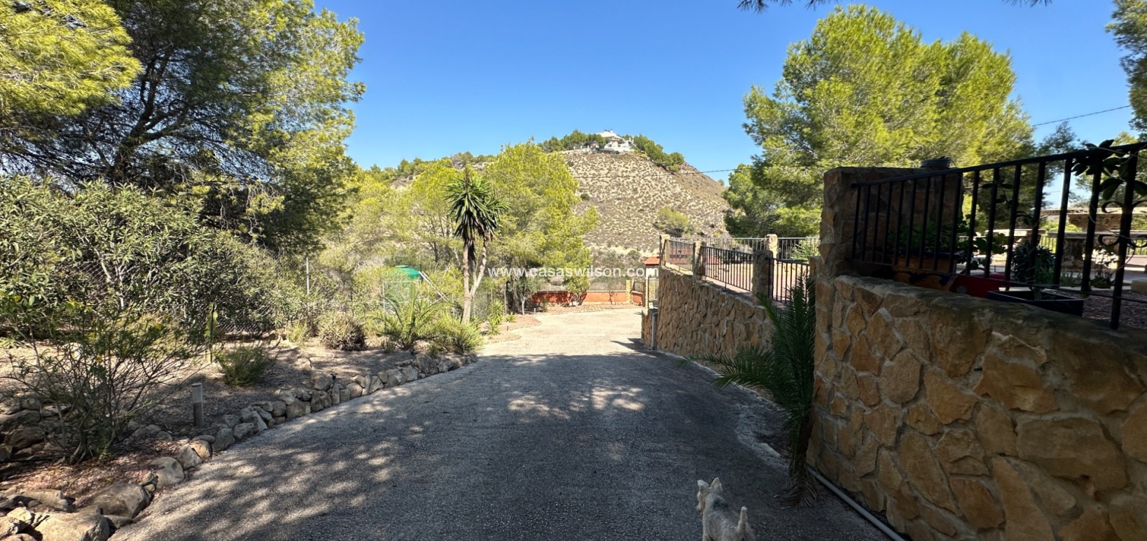 Sale - Finca / Country House - San Miguel de Salinas - Costa Blanca Sur