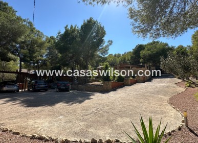 Sale - Finca / Country House - San Miguel de Salinas - Costa Blanca Sur
