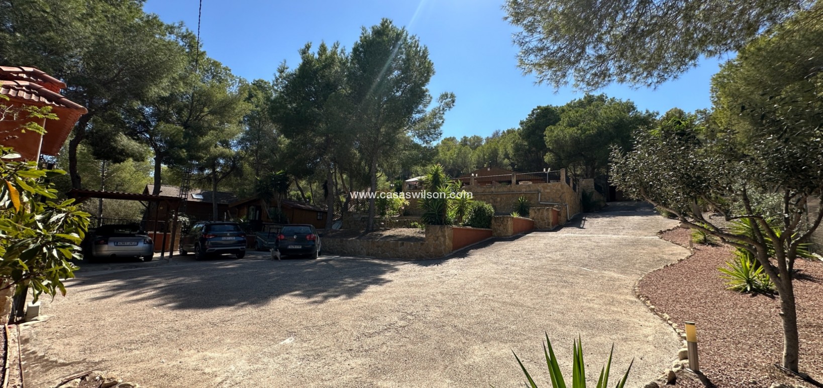 Sale - Finca / Country House - San Miguel de Salinas - Costa Blanca Sur