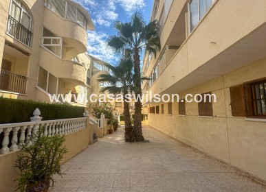 Sale - Appartement - 