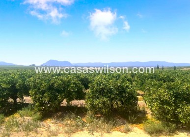 Sale - Appartement - Algorfa