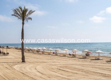 New Build - Appartement - Guardamar del Segura - Pueblo