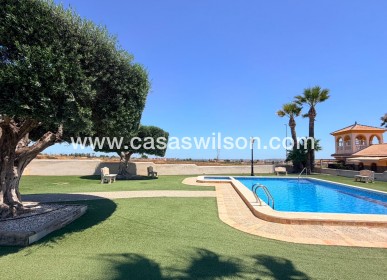 Sale - Villa - Los Montesinos - Urbanizacion montesol