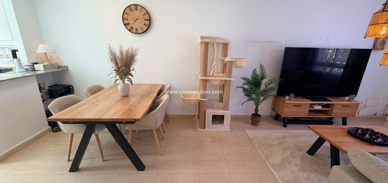 Sale - Villa - Los Montesinos - Urbanizacion montesol