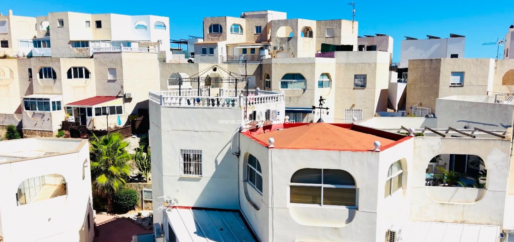 Sale - Apartment - San Miguel de Salinas